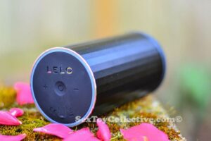 Review of Lelo F1s opinions