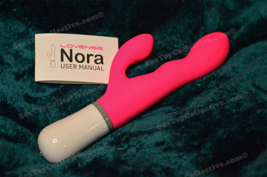Aspects to consider before buying a Lovense Nora