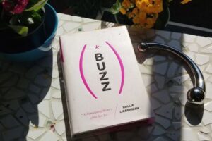 Review of Buzz, a story of stimulating sex toys