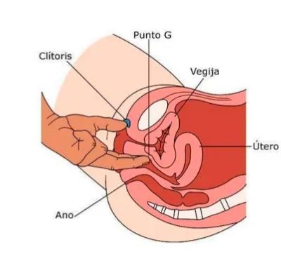 onde fica o clitoris e o ponto g